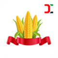 玉米游戏图标