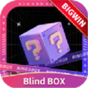 宾果盲盒