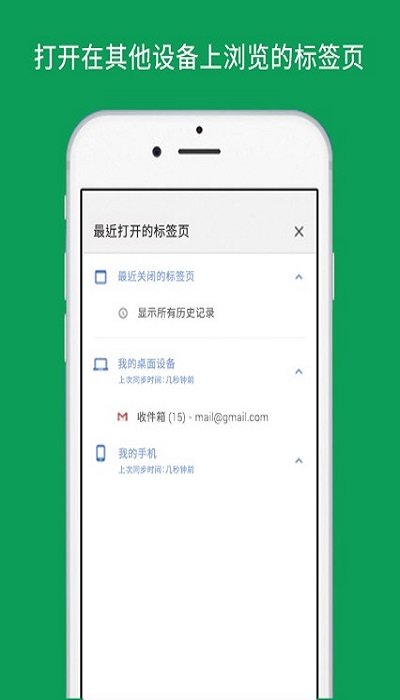 谷歌浏览器2024中文版截图