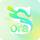 Sora视界