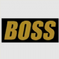 boss视频