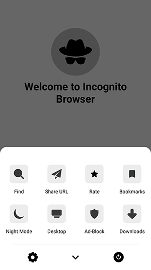 Incognito Browser截图