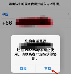 WhatsApp中文版下载安装2023最新版-WhatsApp中文版官网免费下载