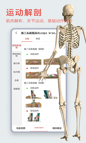 3dbody三维免费人体解剖软件下载-3dbody解剖软件6.0安卓版下载最新版