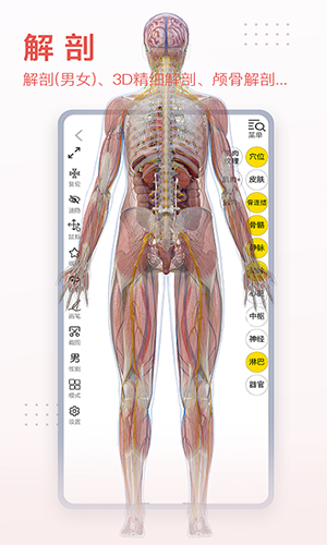 3dbody三维免费人体解剖软件下载-3dbody解剖软件6.0安卓版下载最新版