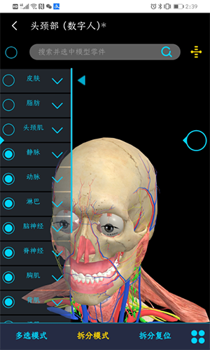 医维度解剖手机版APP官方下载-医维度解剖APP免费下载最新版