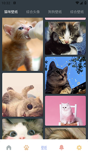 Fatty cat宠物对话器APP免费版下载-Fatty cat宠物对话器APP最新版下载安装v1.1