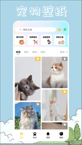 桌面宠物壁纸软件下载官方最新版本-桌面宠物壁纸高清版小仙女安卓手机版下载v1.1