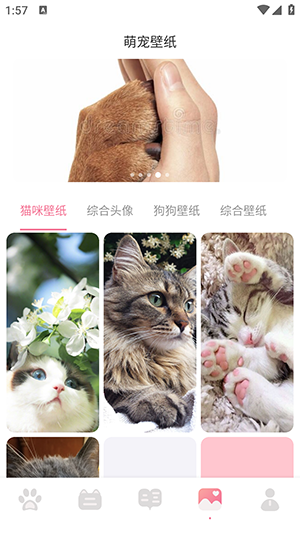 宠物对话器(中文)安卓版下载安装-宠物对话器APP2024最新版下载免费版v1.3