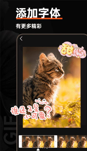 GIF动图社区app手机版官方下载-GIF动图社区下载安卓免费版最新版本v1.0.1