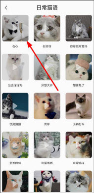 猫语翻译机免费版下载安装2024新版-猫语翻译机下载中文版官方正版v2.6.3
