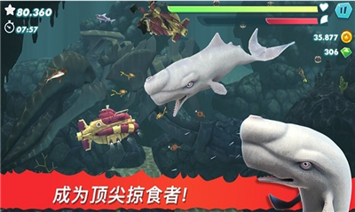 饥饿大白鲨截图