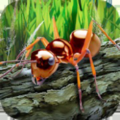 蚂蚁生存模拟器下载