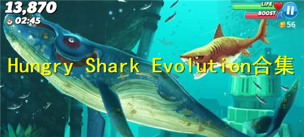 Hungry Shark Evolution合集