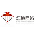 红鲸网络
